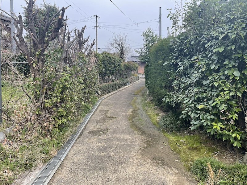 大字長木64番土地 現地写真（前面道路含む現地写真）