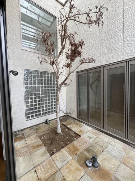 企救丘三丁目戸建 現地写真（庭）