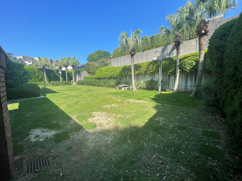 赤坂二丁目戸建 現地写真（庭）