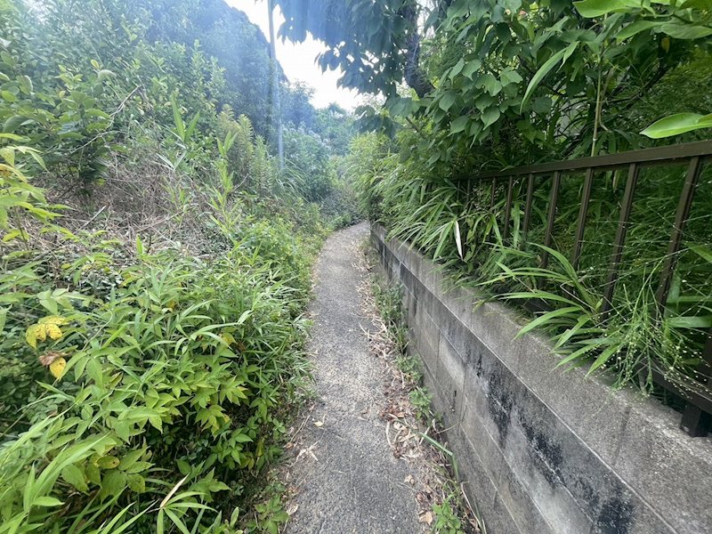 則松六丁目10番戸建 現地写真（前面道路含む現地写真）