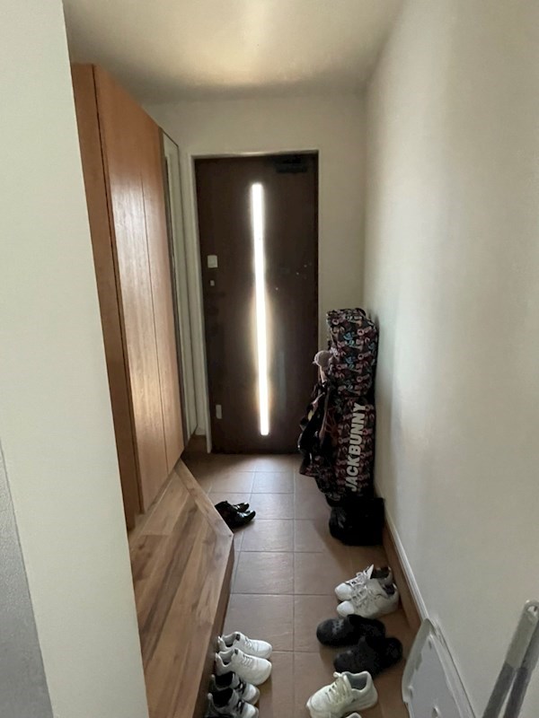 大平一丁目戸建  内観写真（収納）