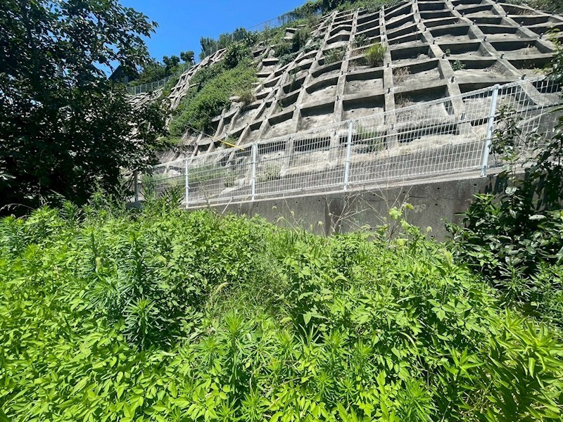 高須西二丁目土地 現地写真