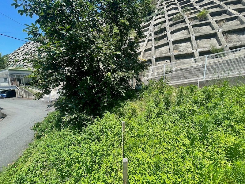 高須西二丁目土地 現地写真