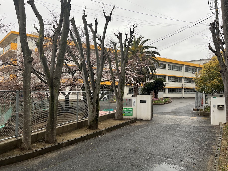 ステイツ若園 小学校