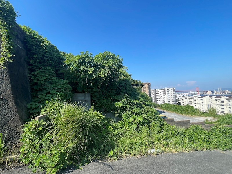 修多羅二丁目26番土地 その他