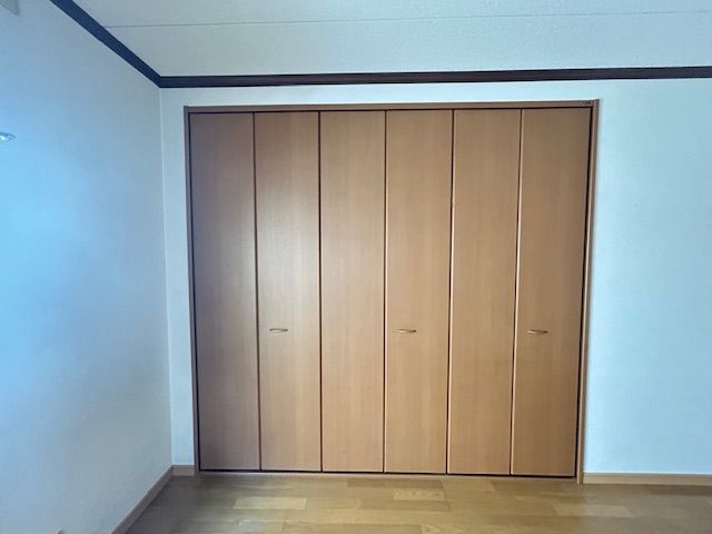 東本町二丁目戸建 内観写真（収納）