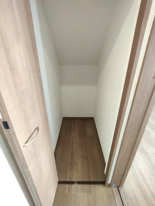 寺内二丁目新築戸建A棟 内観写真（収納）