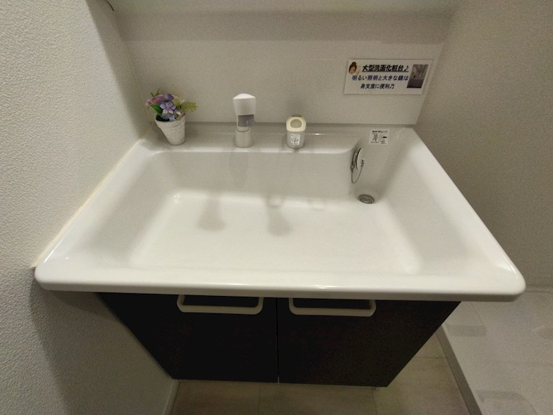 大平二丁目12番戸建 内観写真（洗面台・洗面所）