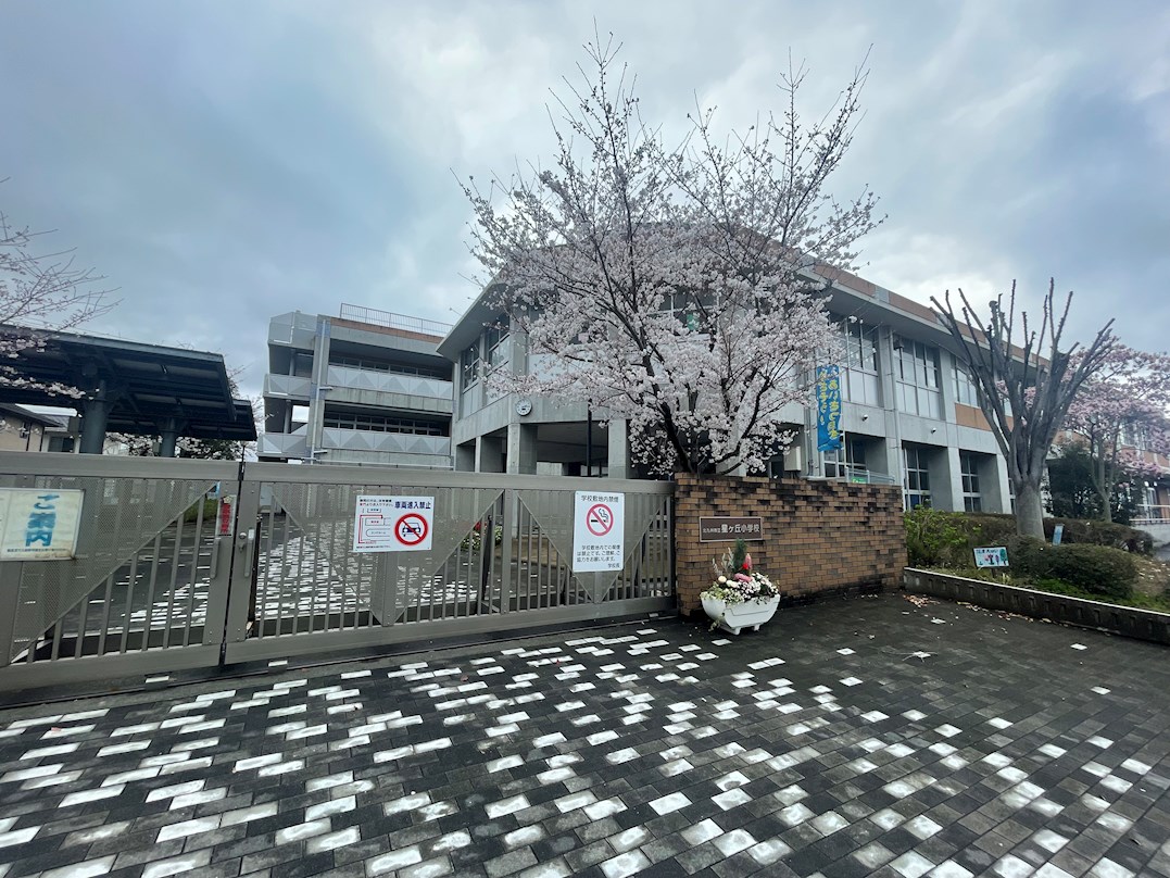 星ケ丘六丁目戸建 小学校
