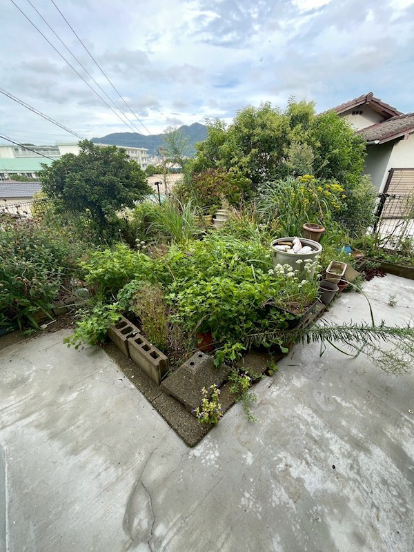南丘三丁目戸建 現地写真（庭）