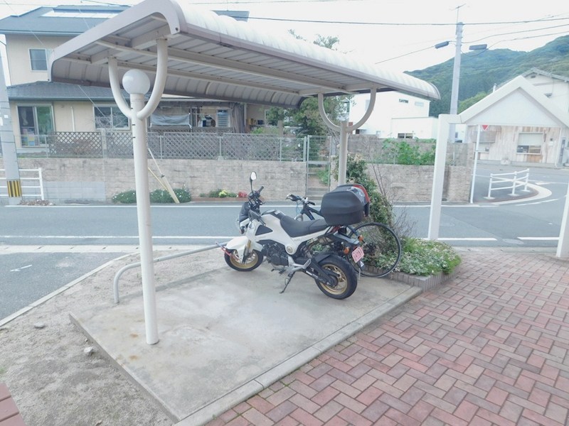 パインツリーヒルズ 現地写真