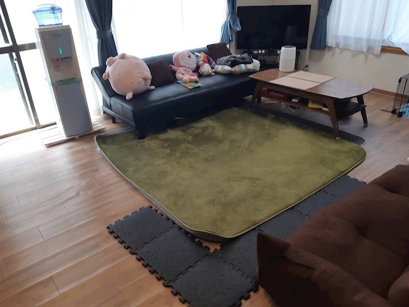 熊谷三丁目10番戸建  内観写真（リビング）