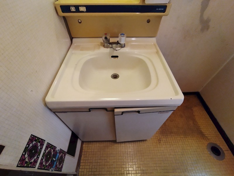 ホワイトキャッスル中津口 内観写真（洗面台・洗面所）
