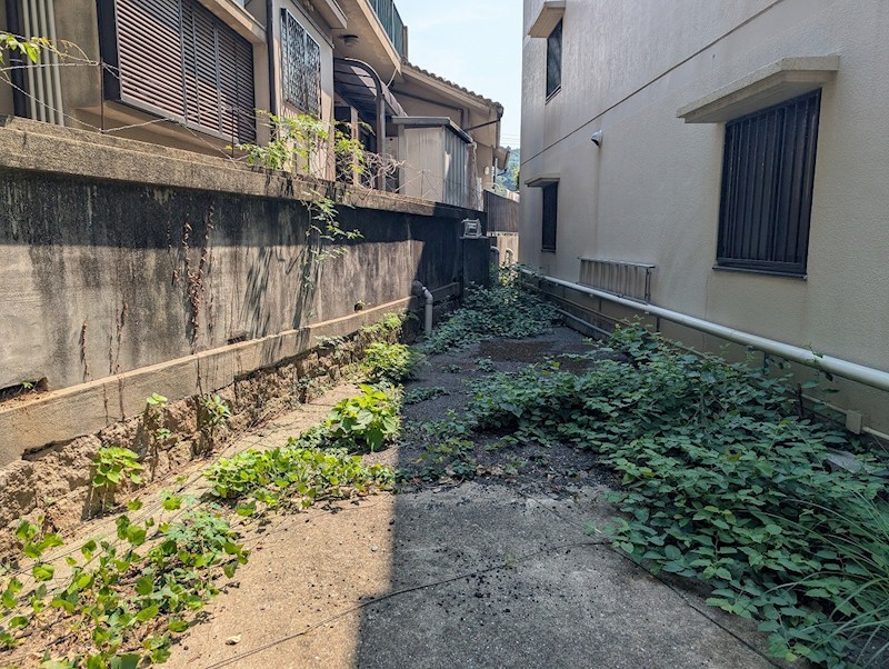 清見マンション 現地写真