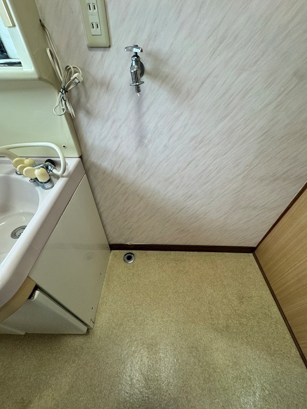 大畑町戸建 内観写真（洗面台・洗面所）