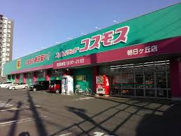 ジェネラスマンション高峰 ドラッグストア