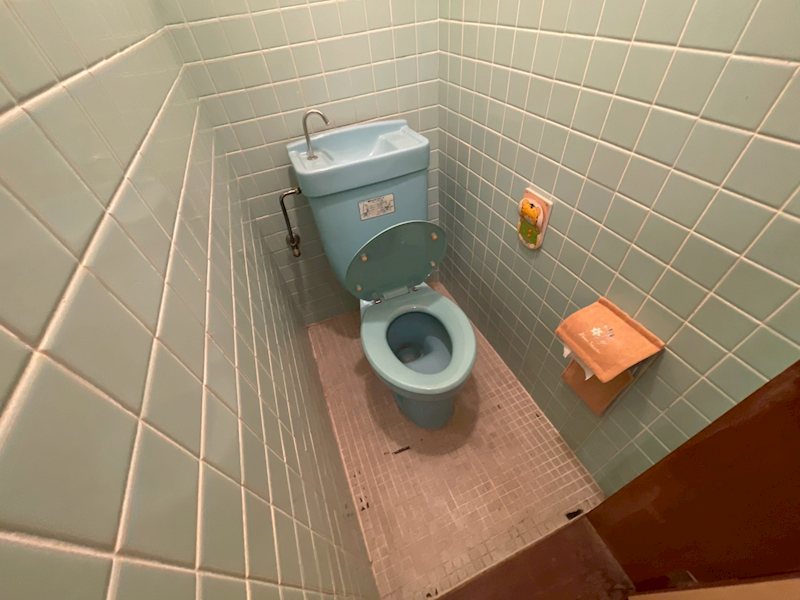 山内グリーンパレス三萩野 内観写真（トイレ）