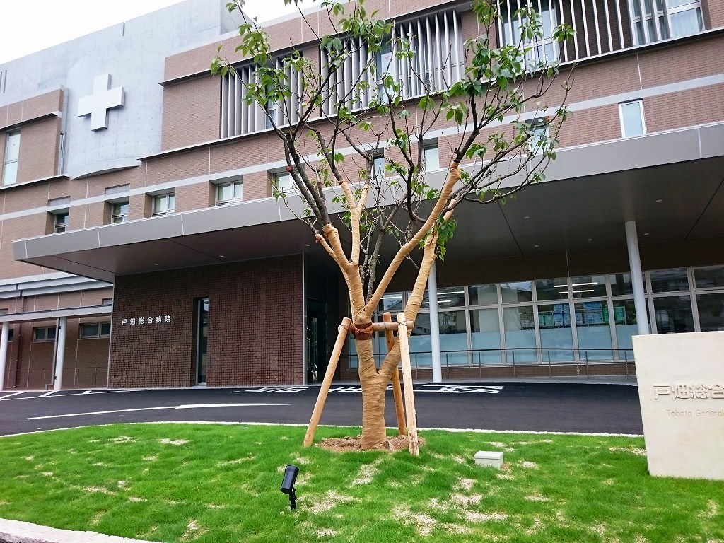椎ノ木町86番土地 総合病院