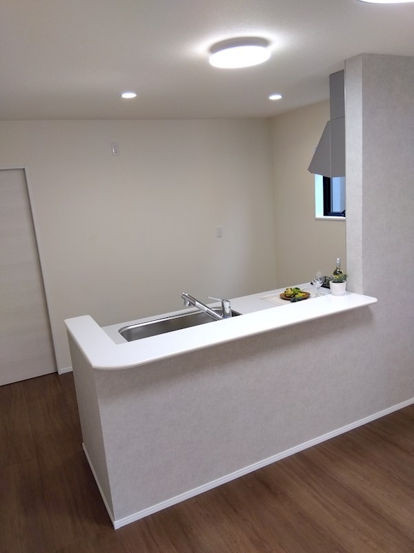 赤坂一丁目新築戸建 内観写真（キッチン）