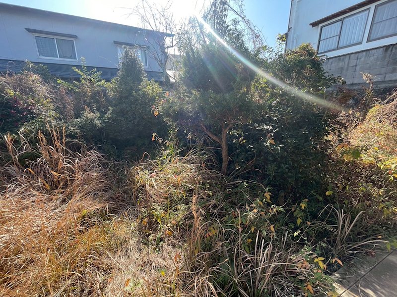 春日台四丁目7番戸建 現地写真（庭）