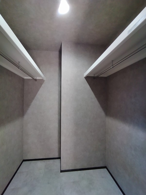 土手ノ内二丁目10番戸建 内観写真（収納）