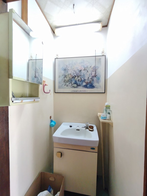 大字山部402番戸建 内観写真（洗面台・洗面所）