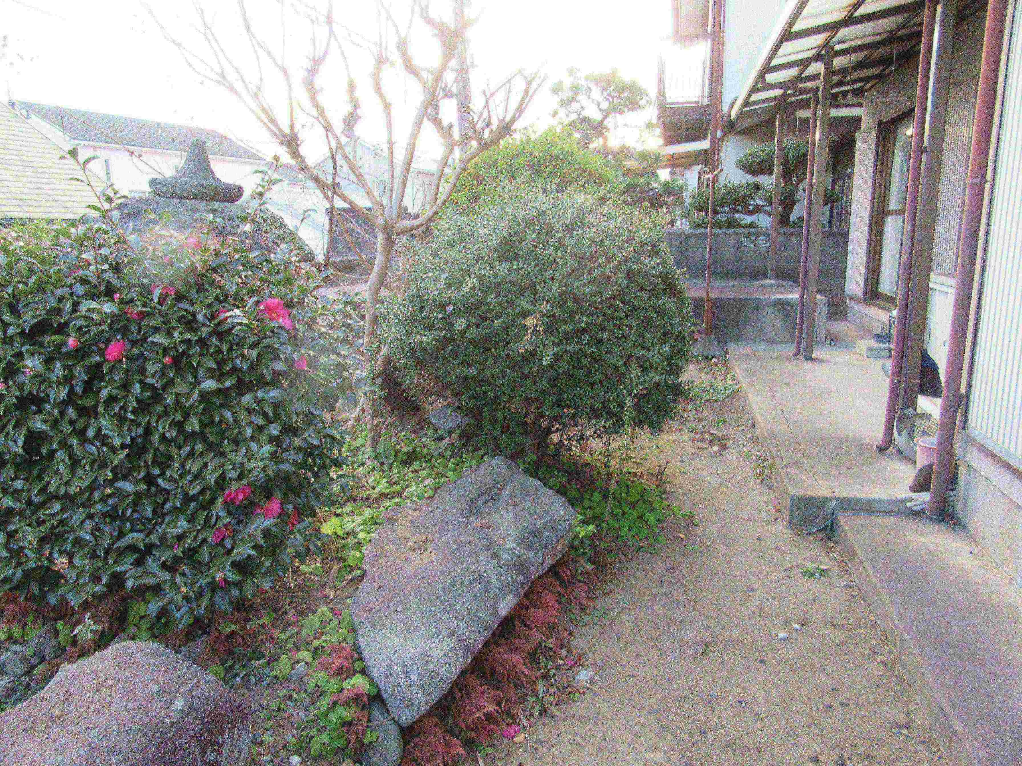東二島一丁目戸建 現地写真（庭）