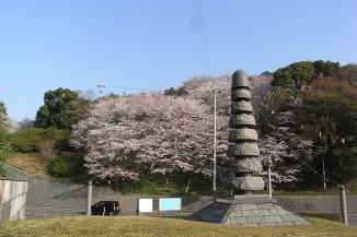 南泉三丁目52番戸建 公園