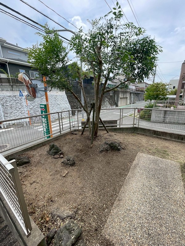 香椎駅東三丁目戸建 現地写真（庭）