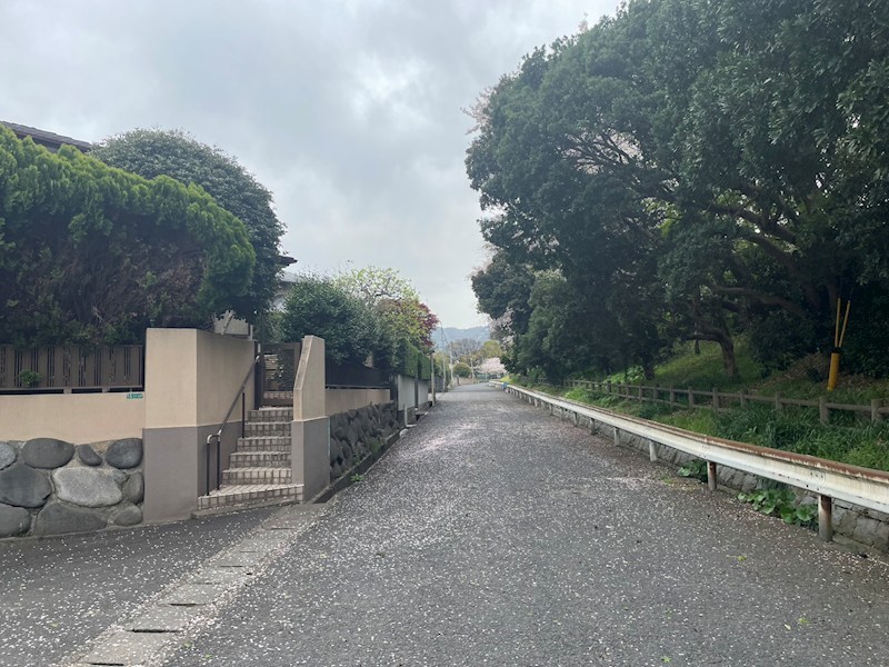 若葉二丁目土地 現地写真（前面道路含む現地写真）