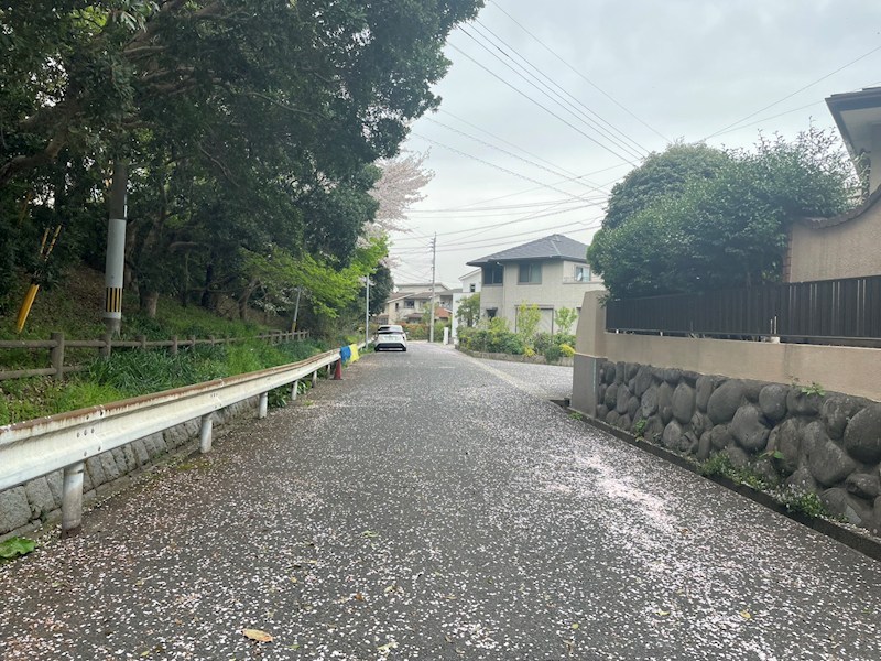 若葉二丁目土地 現地写真（前面道路含む現地写真）