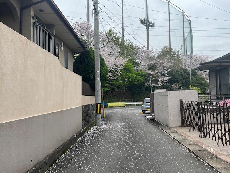若葉二丁目土地 現地写真（前面道路含む現地写真）