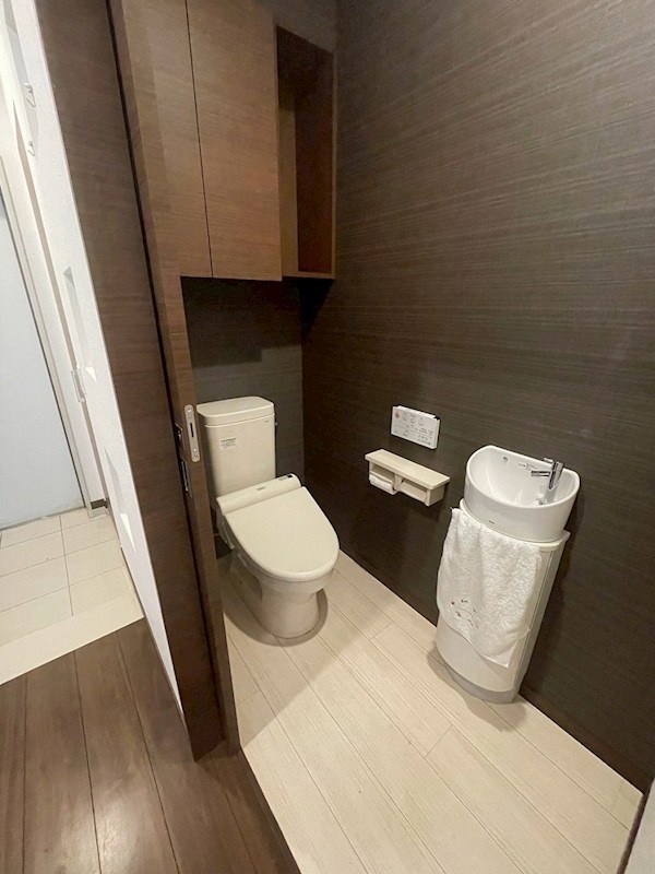 アメニティ東鳴水 内観写真（トイレ）