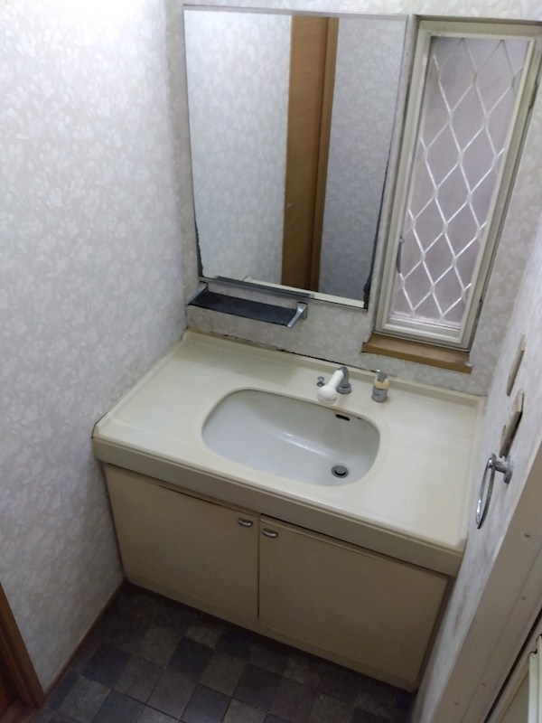 田原新町一丁目戸建 内観写真（洗面台・洗面所）