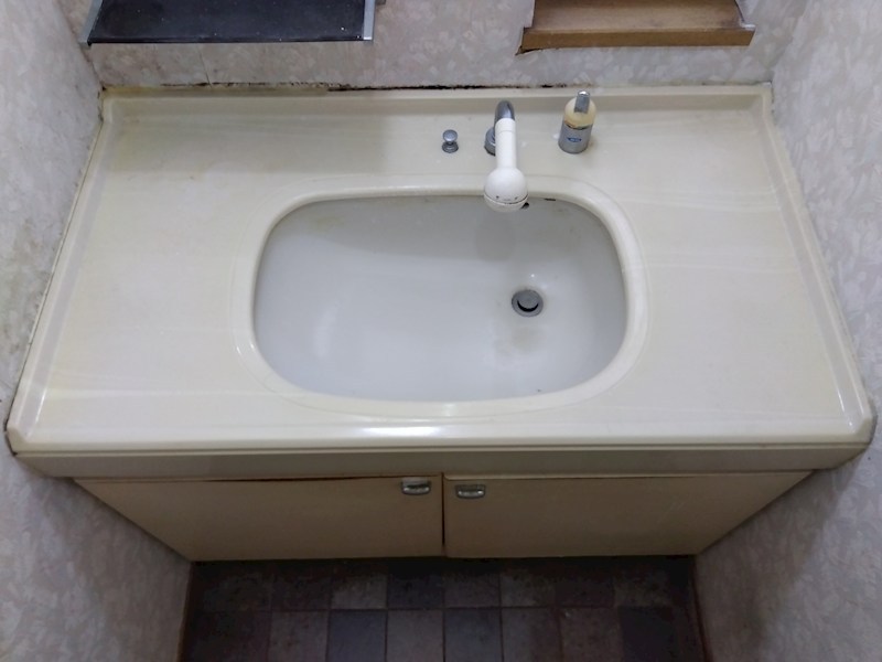 田原新町一丁目戸建 内観写真（洗面台・洗面所）