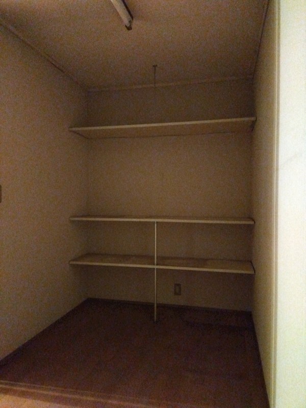田原新町一丁目戸建 内観写真（収納）