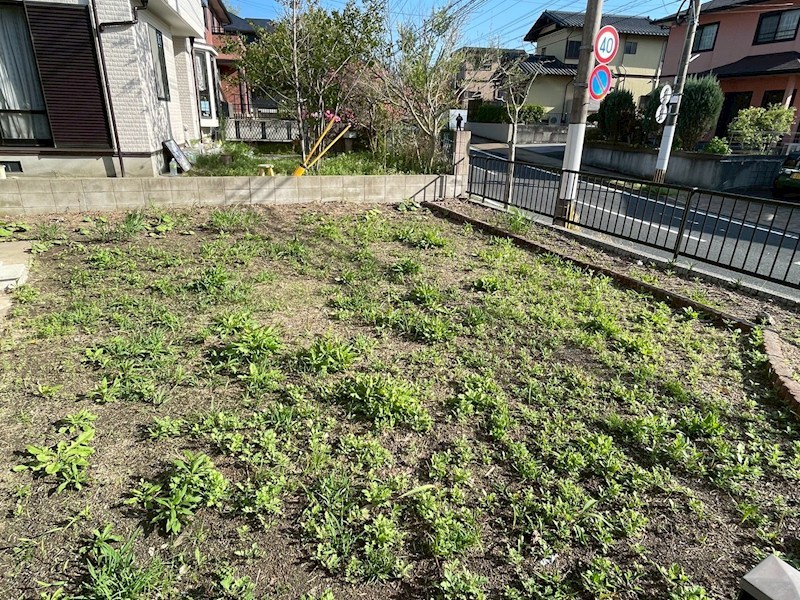 星ケ丘一丁目戸建 現地写真（庭）