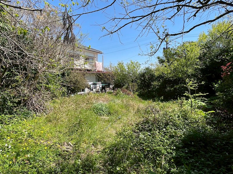 上別府1042番土地 現地写真