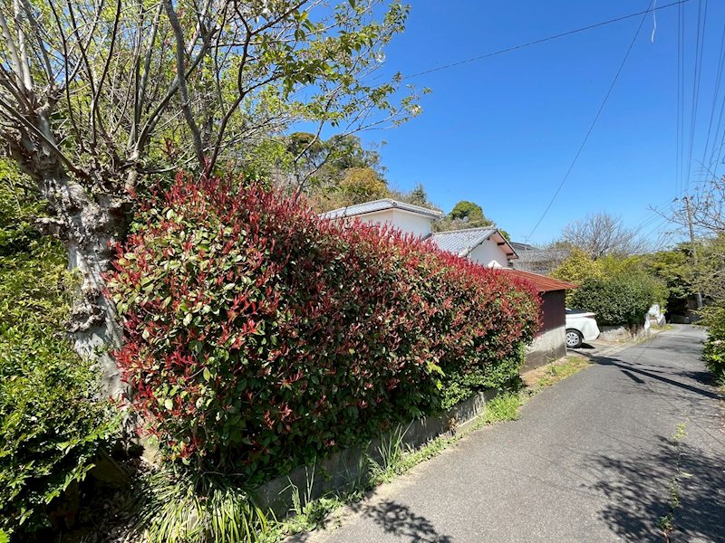 上別府1042番土地 現地写真