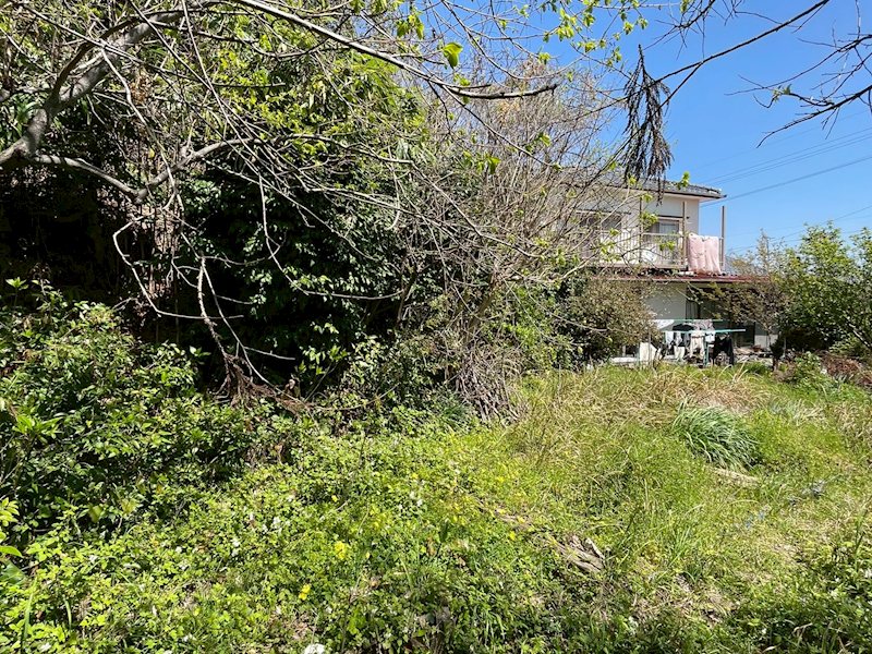 上別府1042番土地 現地写真
