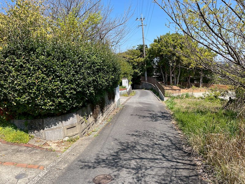 上別府1042番土地 現地写真（前面道路含む現地写真）
