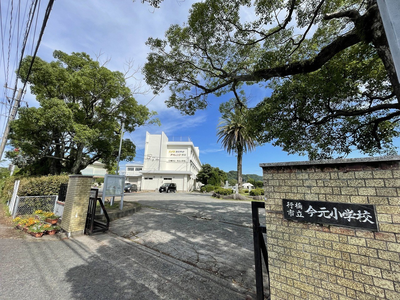 大字金屋戸建 小学校