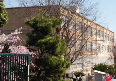 ダイアパレスロイヤル京都・桂C棟 周辺画像2