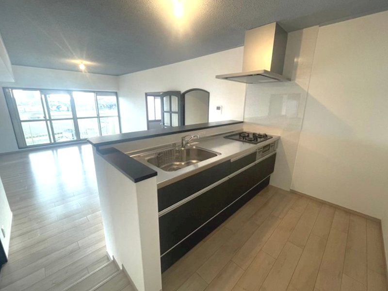 イトーピア向日マンション　Ａ棟 その他