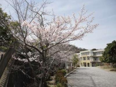 大枝北沓掛町5丁目 周辺画像5