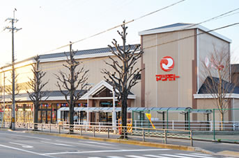 鳴滝蓮花寺町2期1号地 周辺画像3