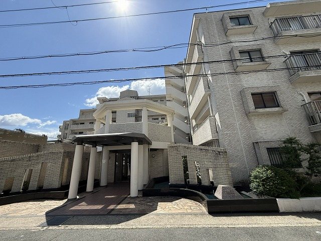 ネバーランド桂 その他