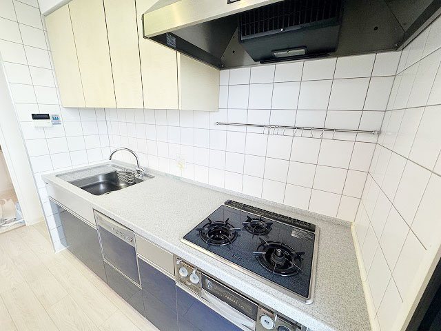 ネバーランド桂 その他