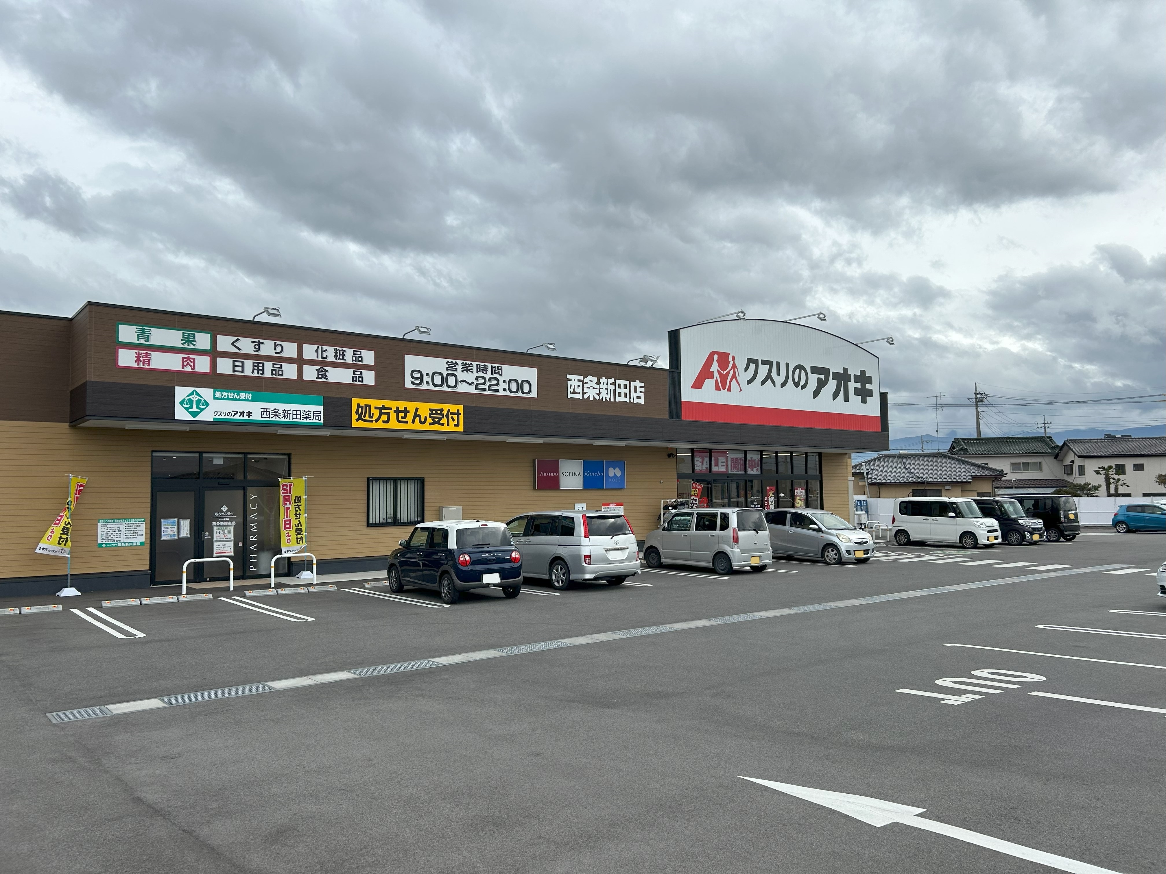 山梨県甲斐市西八幡 ドラッグストア