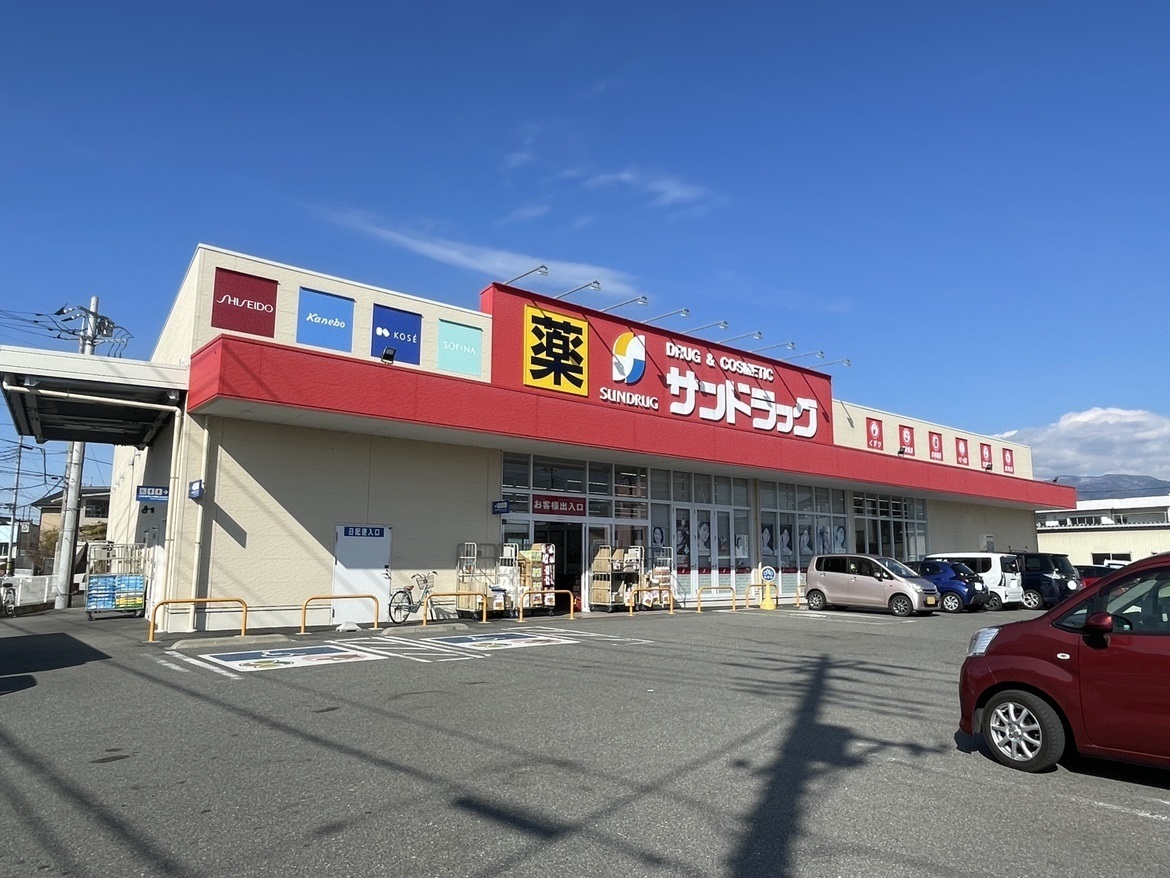 山梨県甲斐市西八幡 ドラッグストア